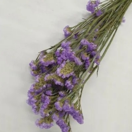 Statice Sinuata lila naturel - 1 bos