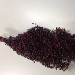 Pepperberry Bordeaux